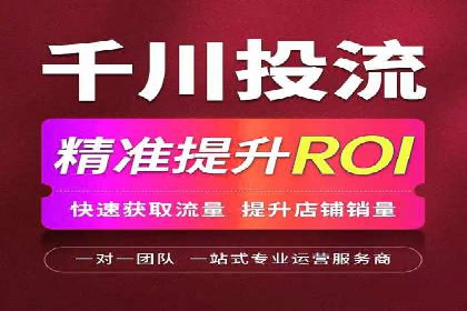 SEM代理服务：提升广告投放效果